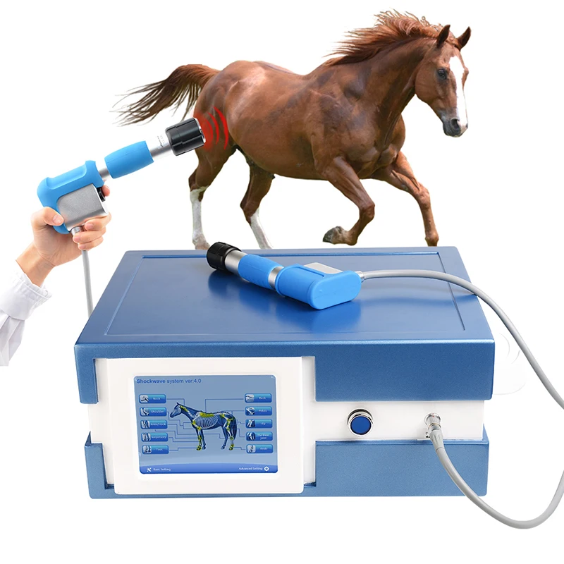Portable Horse shock wave treatment horses vet veterinary shockwave physical therapy machine phisothery equipment for horse