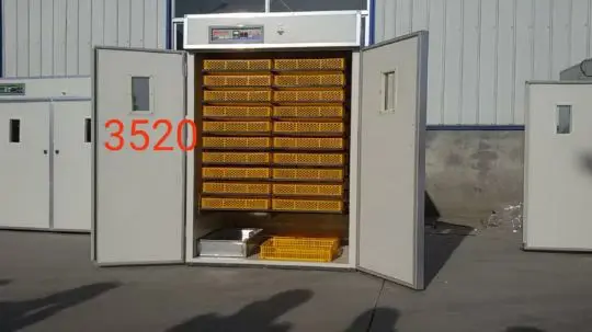  Полностью Автоматизированный инкубатор для 4000 яиц прямые продажи от