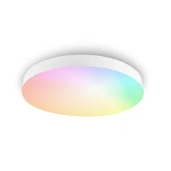 VACE Dmx Google Home Remote Flush Rgbw Wifi Modern Smart Rgb Led Ceiling Lights