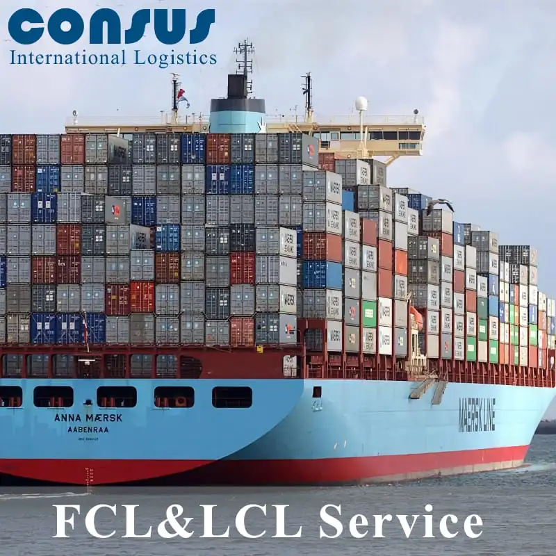 Professional Sea Freight Forwarder Shipping Agent from China to USA FOB