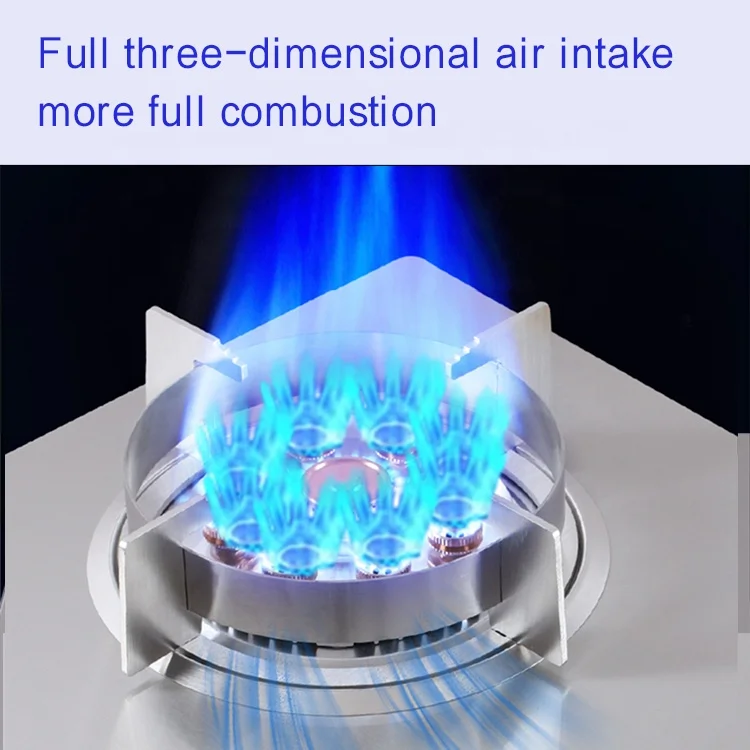 stainless steel panel big fire built in Liquefied Petroleum gas 2 burner gas stove cooker
