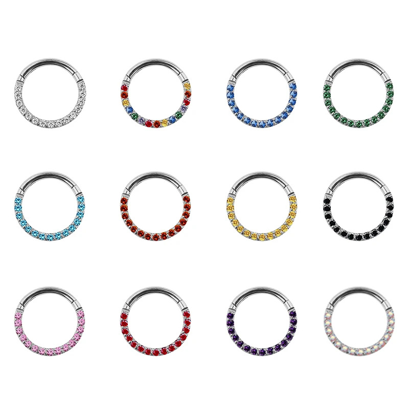 ASTM F136 Titanium Nose Rings Hinged Segment Rings Earrings Piercing Body Jewelry for Woman Man