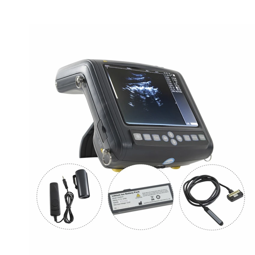 Ветеринарная ультразвуковая система на запястье для репродуктивной визуализации крупного рогатого скота