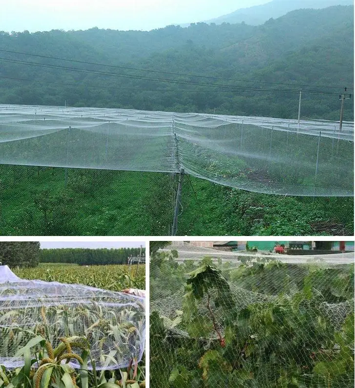 100% Virgin HDPE Anti-Bird White Garden Plastic Netting Pond Cover for Agricultural Ponds Cut-to-Size Service Included