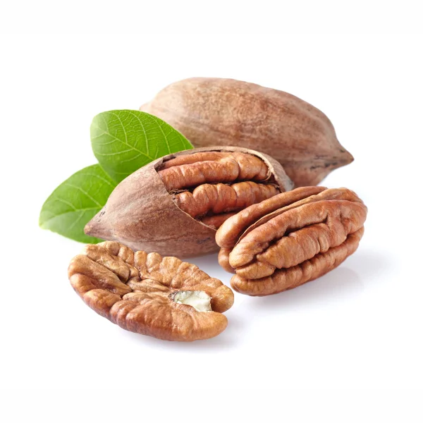pecan nut (1).png