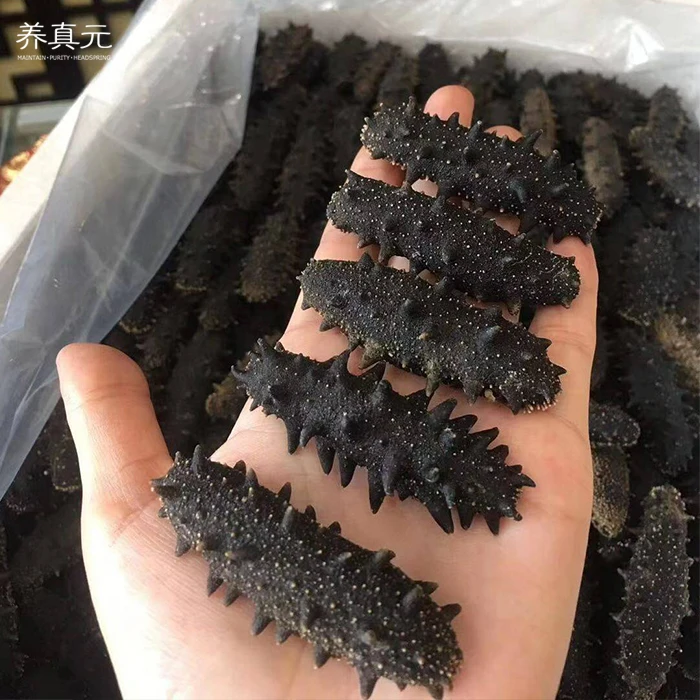 Сушеный морской огурец
