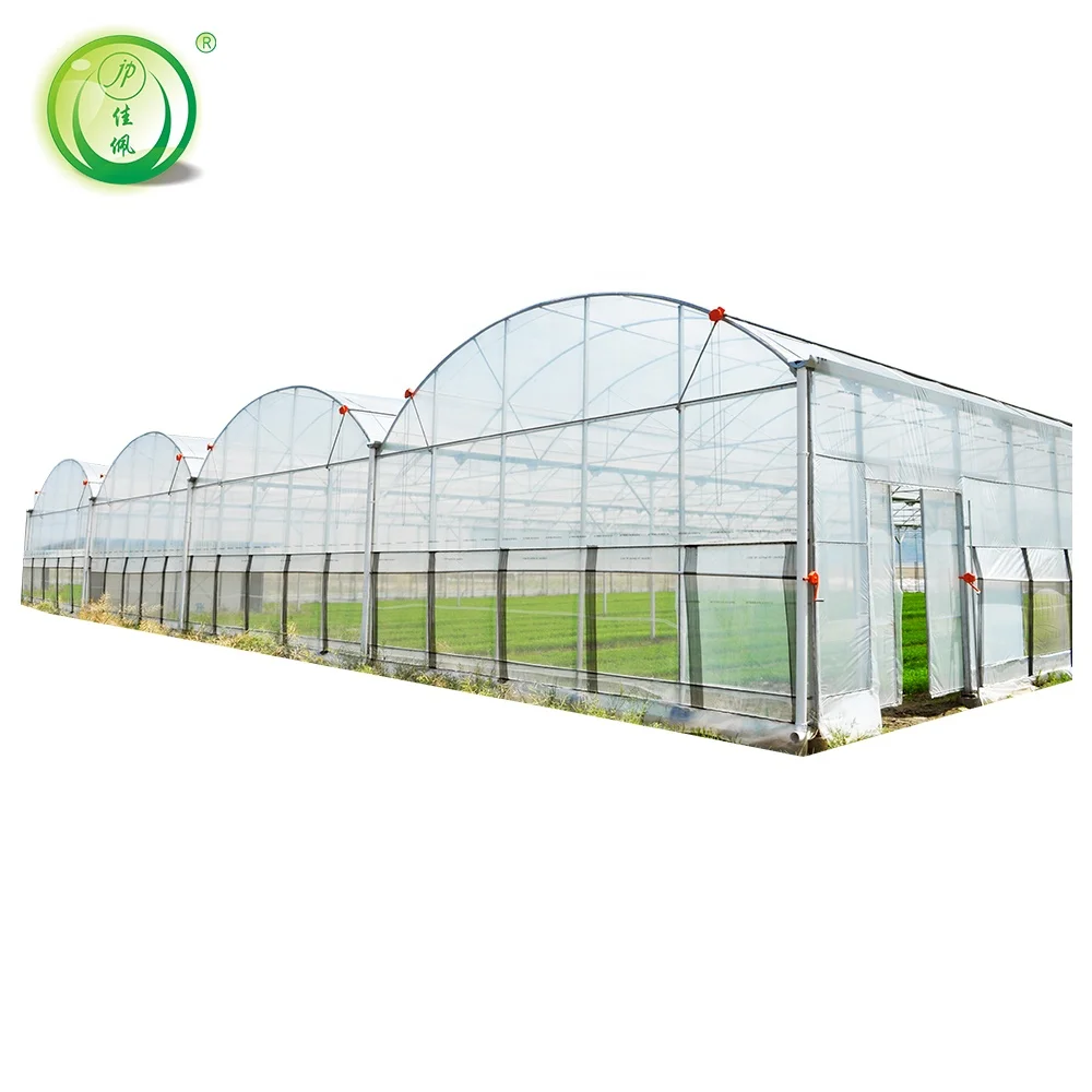 Large Agricultural Greenhouse with Motor Ventilation PCsheet Manufacturing Film Greenhouses Including Irrigation System for Sale