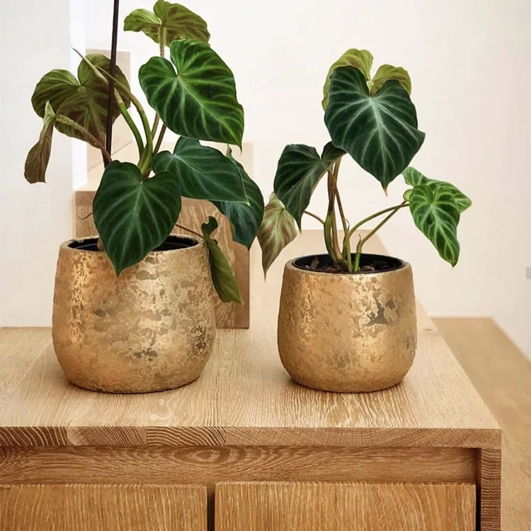 Популярный садовый декор ручной работы, горшок для растений, дешевая цена, роскошный золотой цветочный горшок