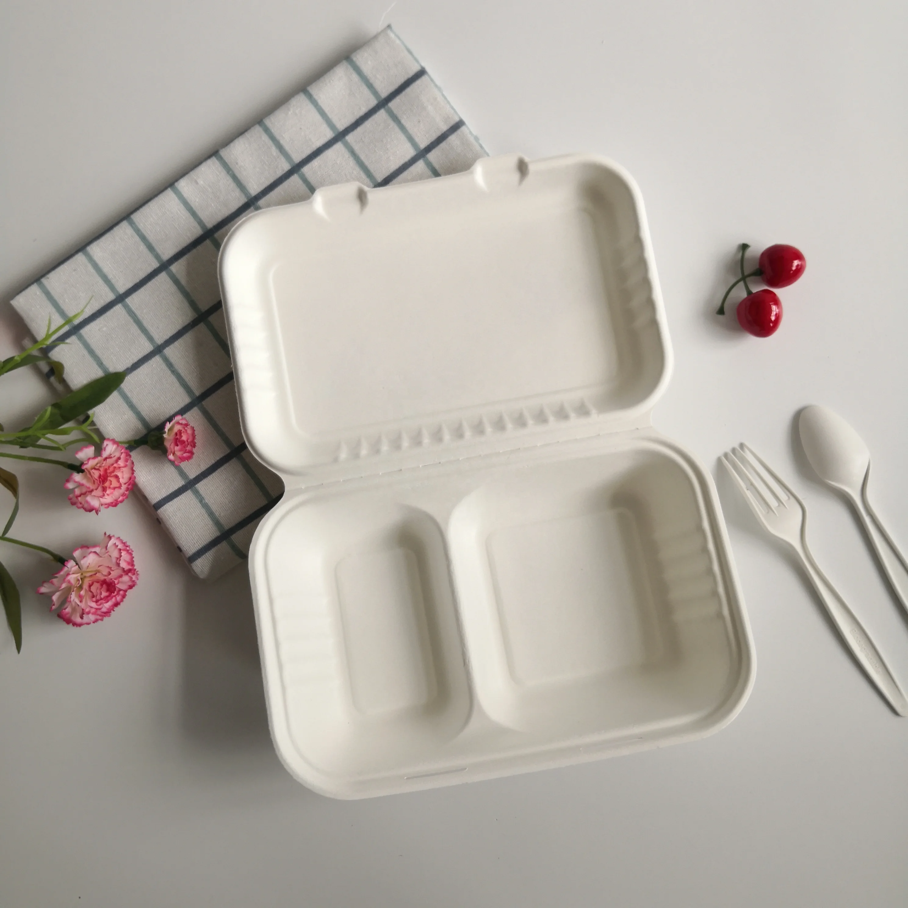 biodegradable recycled food packaging take away box with 2 compartment tray