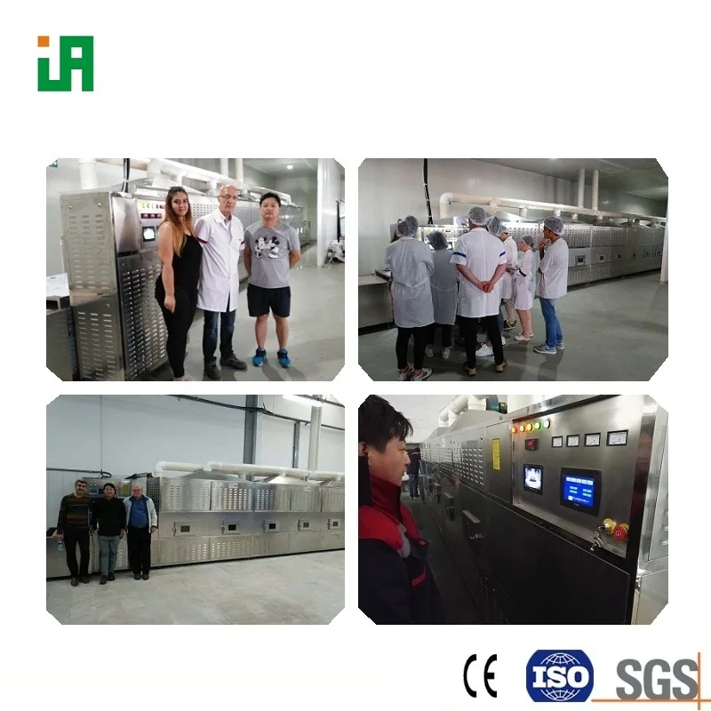 ECO microwave onion dryer machine sterilization equipment