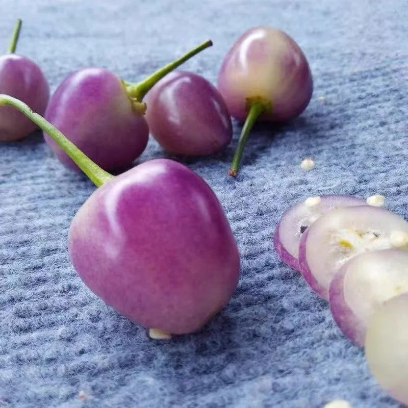 Wholesale 300g/bag Purple Rainbow chili Hot Pepper Vegetable Seeds for Planting