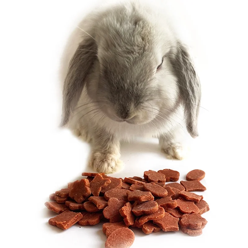 2022 Sell Rabbit Guinea Pig Hamster Chinchilla Sugar Glider Snacks Hedgehog food rabbit chew toys hamster guinea pig  treat food