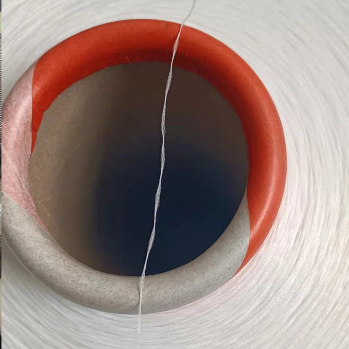 white polyester yarn 150/48 HIM RW SD for floor cloth