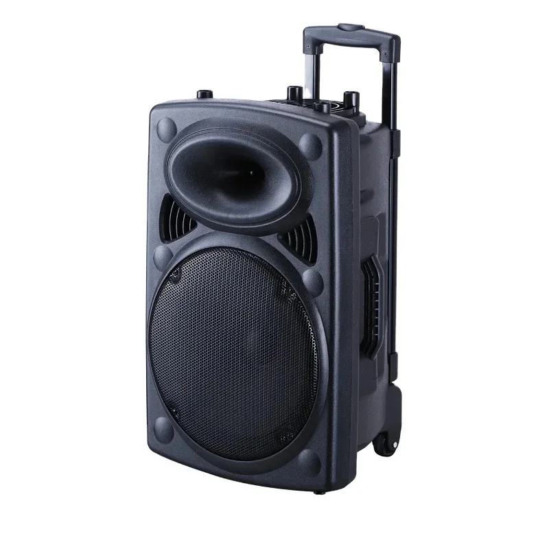 High Power 12 inch Subwoofer Trolley Speaker Karaoke Sound Equipment System Outdoor Speaker