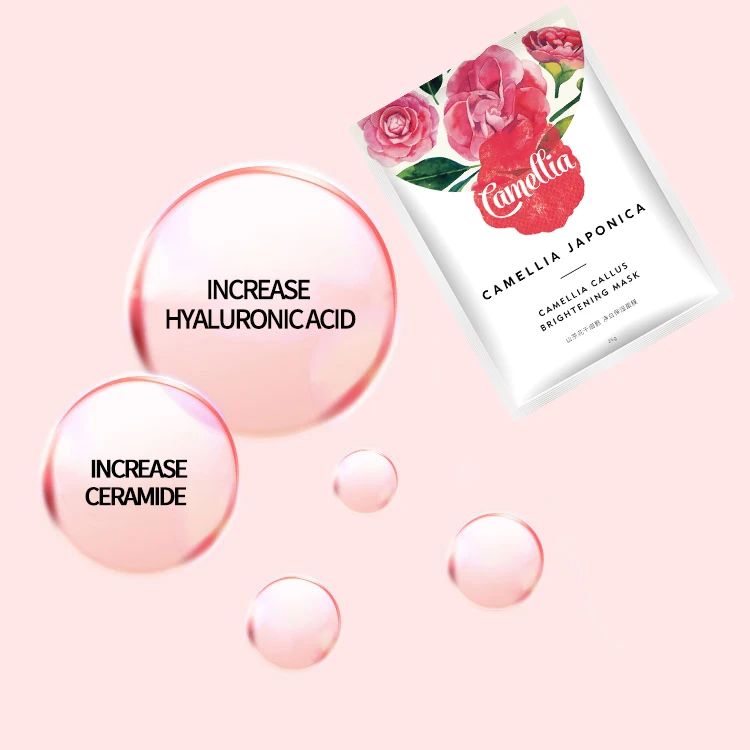 Camellia Japonica Callus Brightening Skin Toning liver powder face whitening sheet