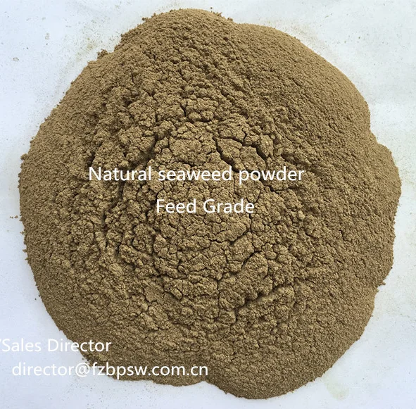Kelp caviar seaweed flour kelp laminaria