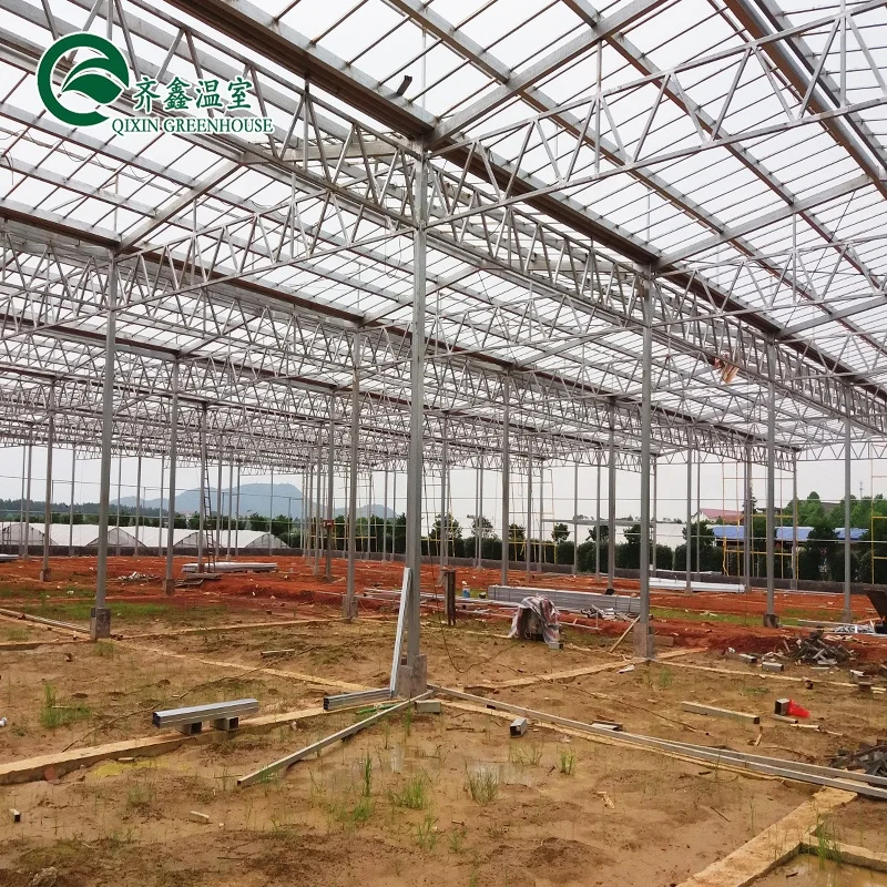 Best selling 100% new material polythene tunnel greenhouse ,UV protection plastic greenhouse  for growing vegetables
