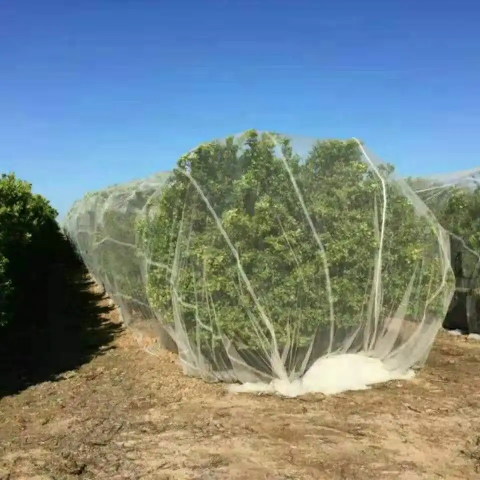 Multicolour wholesale anti insect net agricultural nets protection fruit/Agricultural Insect Proof Net For Agro Vegetable