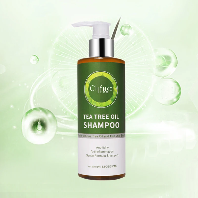 
OEM Green Tea Shampoo Hair Care Highly Effective for anti-Dandruff, Softening and Nourishing Hair 