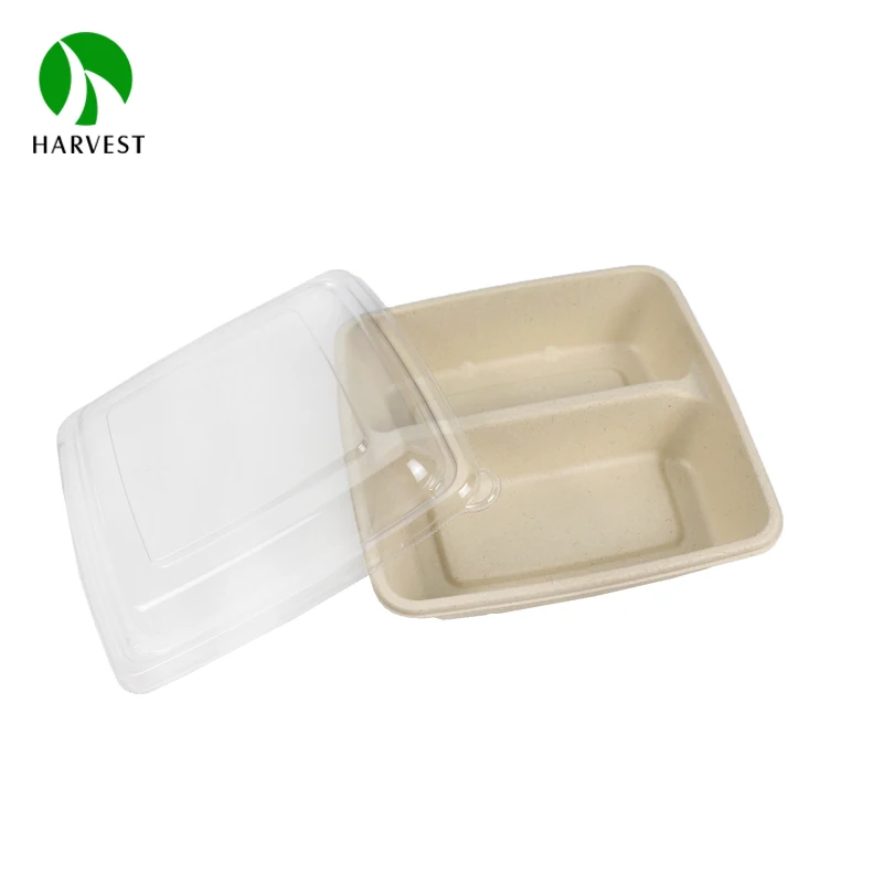 Bagasse 8x8 inch 2 Compartment Sugarcane Pulp Fiber Food Packaging Lunch Box Container With Lid