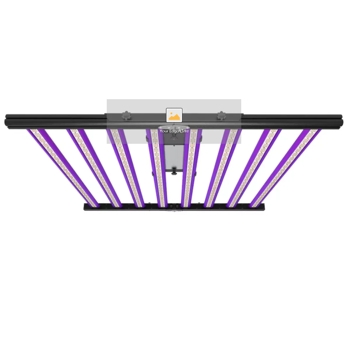 2021 Hot Selling In Us 1000w 800w 720w 645w 430w Samsang Lm561c Full Spectrum Led Grow Light