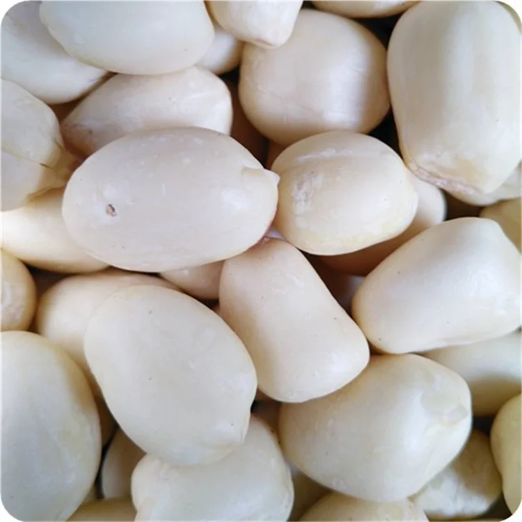 Blanched Peanut Kernel China Shandong Origin Low Price Raw Peeled Peanut Kernels Nuts For Sale Size 25/29