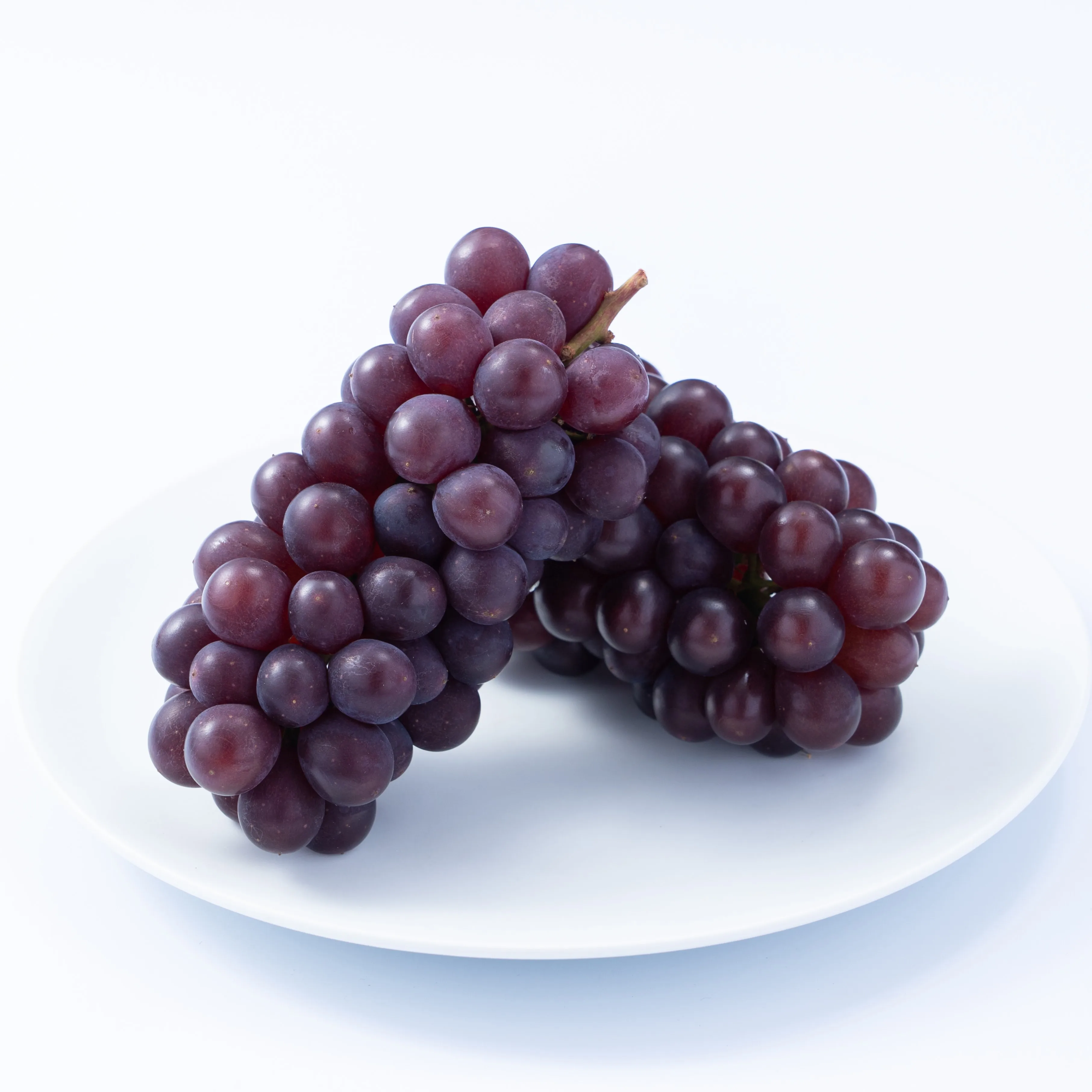 Оптовая продажа, выращивание по разумной цене, сбор виноградного вкуса