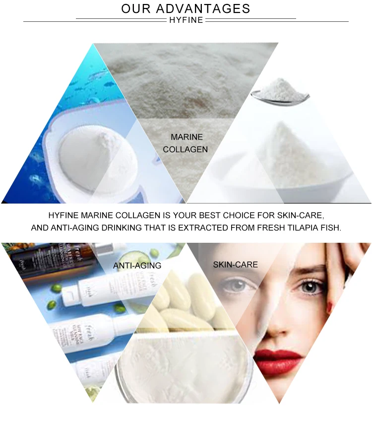 
vegan flavored hydrolyzed marine fish scales bovine collagen peptides sachet powder bulk protein peptide collagen fish collagen 