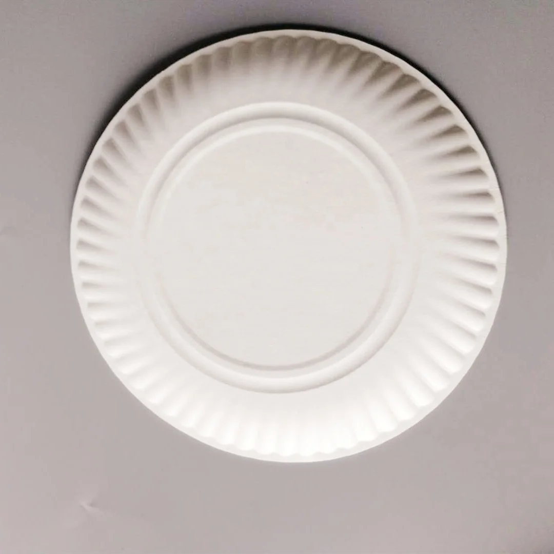 paper plates wholesale 9 inch disposable paper plates paper dishes for party