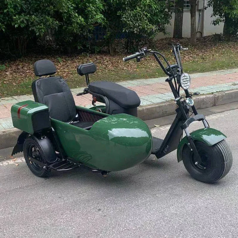USA/Australia Warehouse Fat Tire Electric Tricycle Sidecar E-bike Carry Pets Three Wheel Pedal Assist 4000W Road Ebike Sidecar