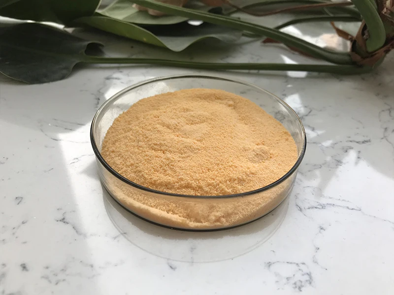 Fresh Dried Mango Powder Organic Mango Flavour Juice Powder
