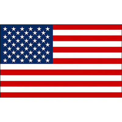 Custom Polyester 60*90cm/90*150cm 3*5 Feet Wholesale Eco-friendly National Usa American Countries Flag