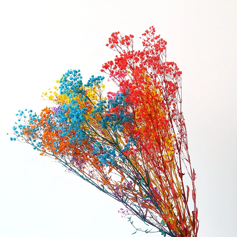 Factory wholesale home decorative preserved multiple colors gypsophila wedding small bouquet dried babybreath flower