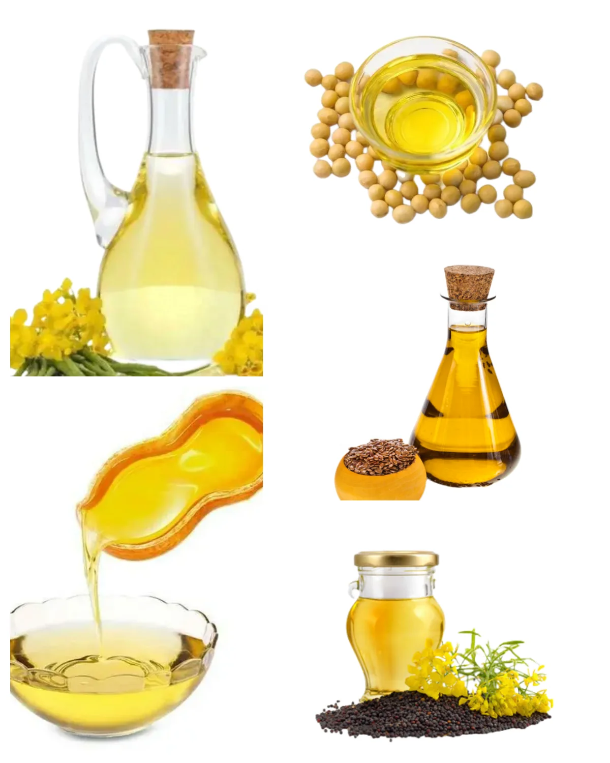 New Oil Processing Machine Sale 100kg per hour peanut oil extraction machine for Maize Coconut Corn Rice Bran
