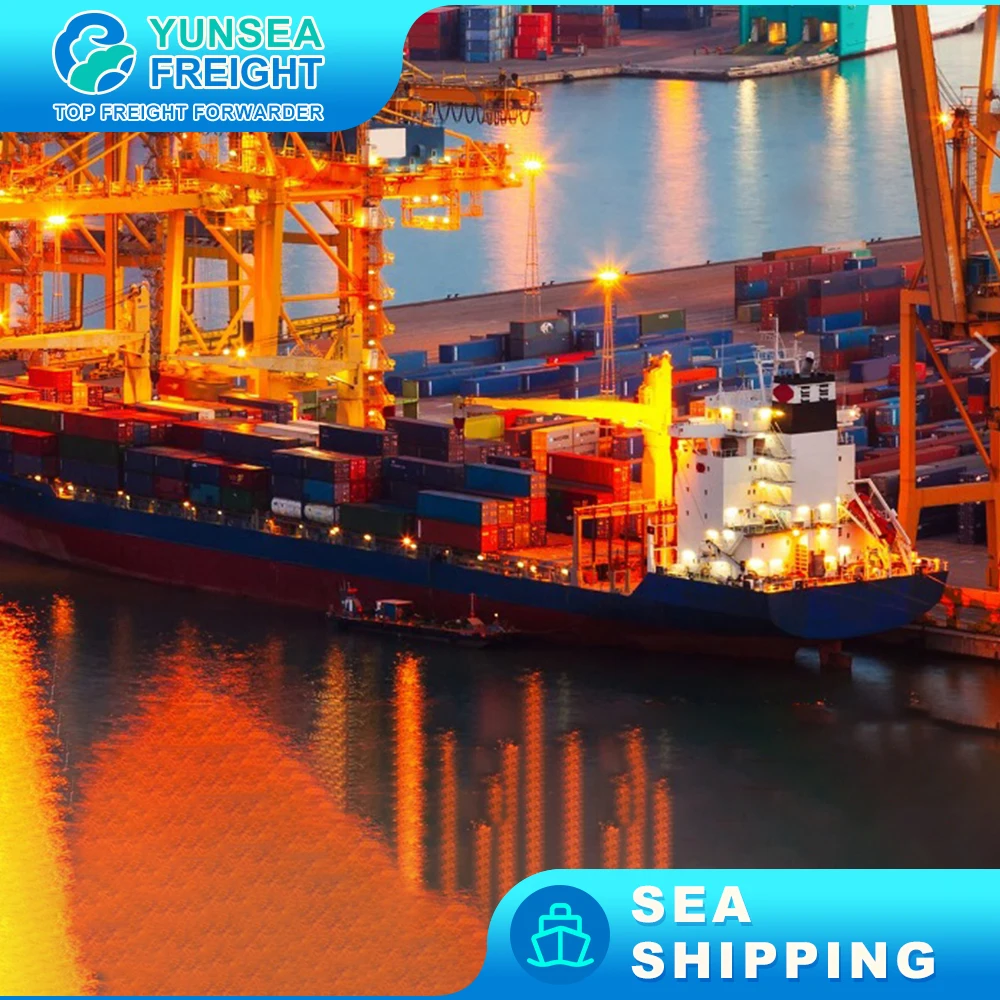To Berne faster  Cargo DDU DDP Shipping Sea Freight Forwarder Cheapest Charge Rates Ocean Transportation to USA Transit Time