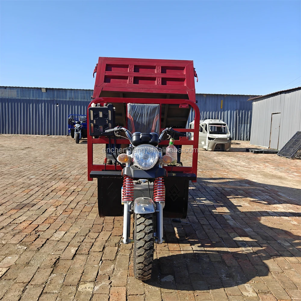 New Style 5 Wheel 300cc Cargo Passengers Closed Fuel Gasoline Moto Motorise Powerful Motorcycle Tricycle