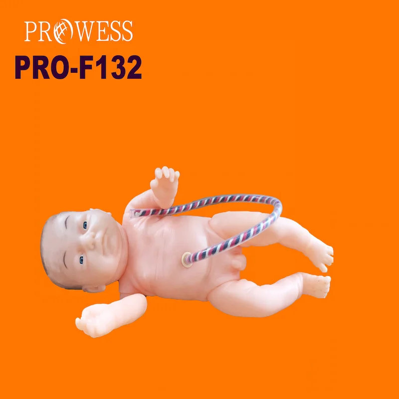 PRO-F132 Advanced Medical Science Newborn Baby Nursing Model Infant Training Model Neonatal Umbilical Cord Placental Care Model
