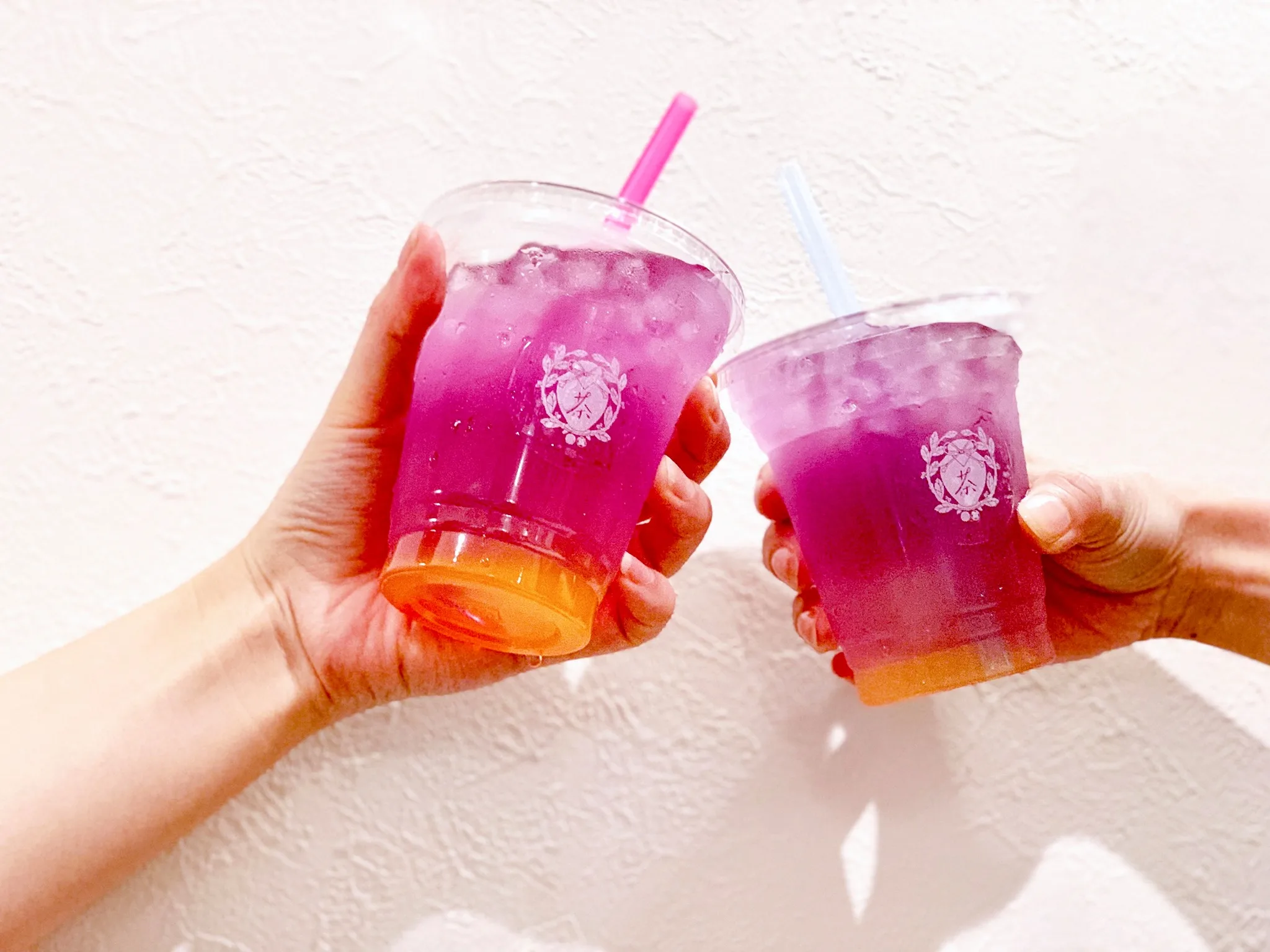 Fresh cool sweet smooth  delicate texture liquid mizu warabimochi