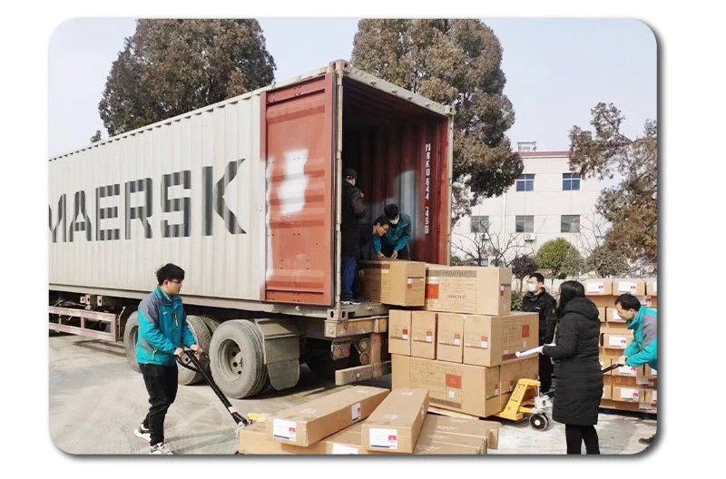 User Defined Printing Color and Logo Making All Mountain Snow Skiing Snowboard