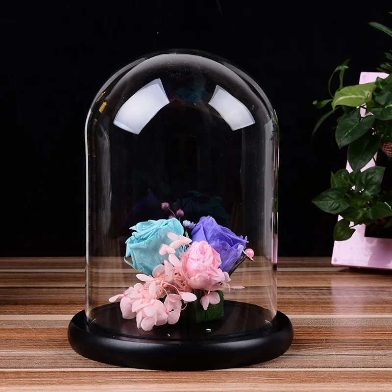 Hot selling Custom mini bell jars glass dome with Wooden base