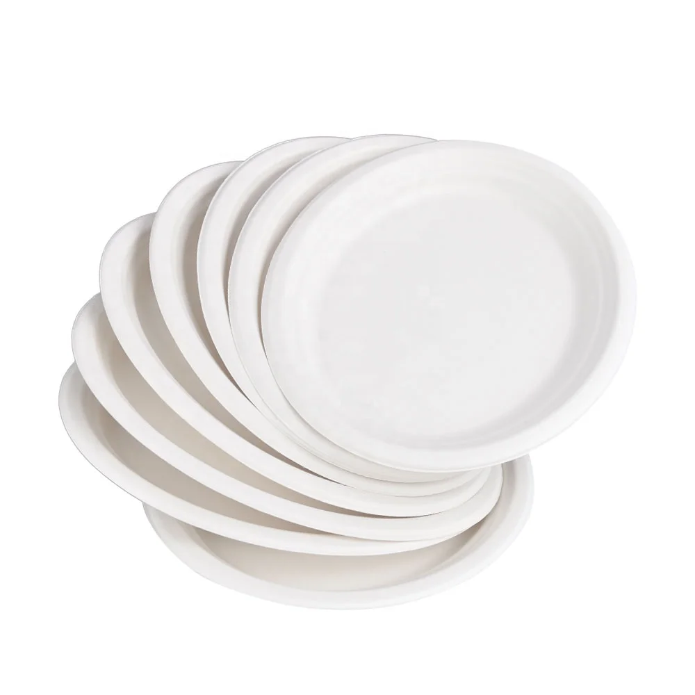
disposable plates with lid compartment 