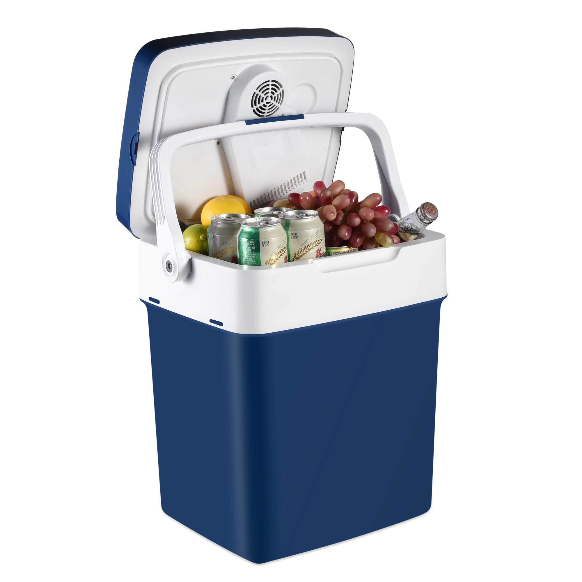 Electric Cooler & Warmer with Handle 29 L Portable  Fridge for Vehicles & Trucks 110V AC Home Power Cord & 12V Car Adapter