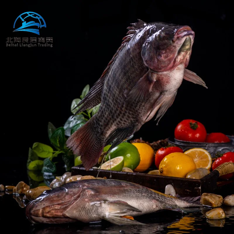 Рыба Тилапия цена за кг оптовая высококачественные морепродукты грубая замороженная Оригинальная Черная тилапия