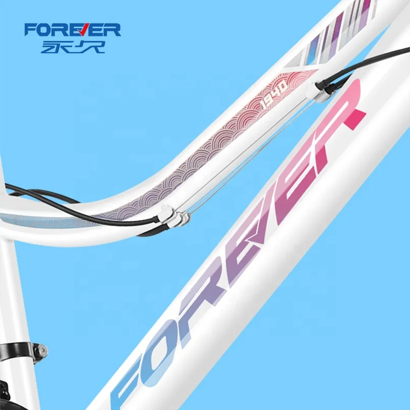 FOREVER Wholesale Customization 20/22 Inch 21 Speed High Carbon Steel Frame Student Mountain Bike For Student Or Children