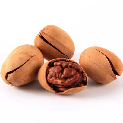 Nutritious and Healthy Pecan Pecan Nuts in South Africa Pecan Nut Without Shell