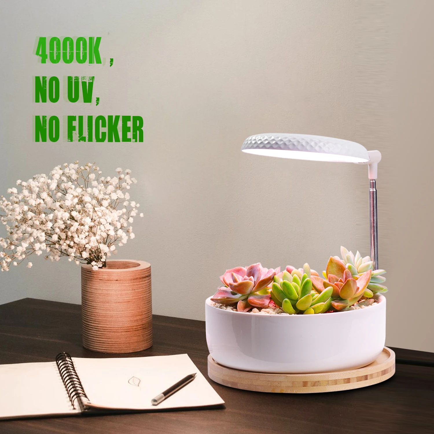 J&C Mini Garden Indoor plants mini Indoor grow lights led spectrum indoor garden