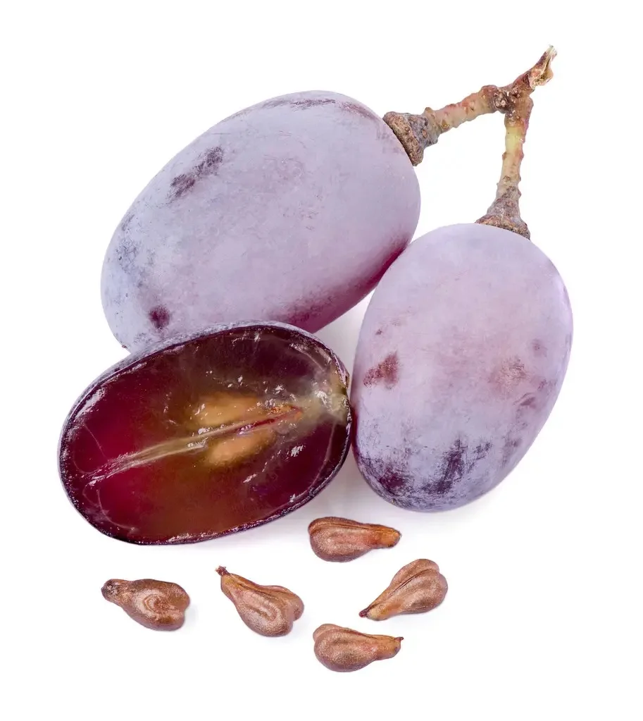 Factory supply organic capsule 95% OPCS pure anthocyanin powder grape seed extract for skin care