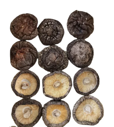 dried shitake mushroom  hot sale  material for eating GAP base long shelf life