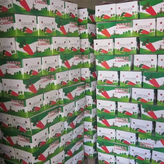 2021 Chinese Fresh Carrot 4.5 kg Carton Packing For Dubai Market Size S M L Wholesale Low Price Fresh Carot