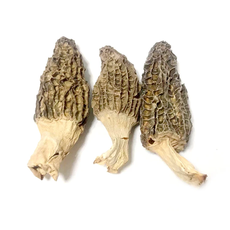 
High Grade Luxury Dried Morels Mushroom 